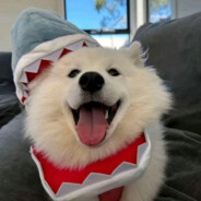 宇宙无敌暴龙战士