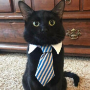 стёп, верни долг