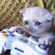 венец эволюции