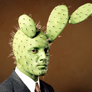Lord Lee So Cacti