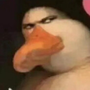 伯乐看了我都说好马