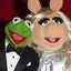 Miss Piggy With No Brim # BBC