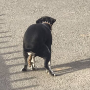 我看谁在背后蛐蛐我呢