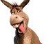 donkey