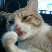 cloudysky - steam id 76561197965727188