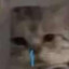 殛