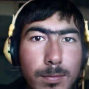 西部菱斑响尾蛇