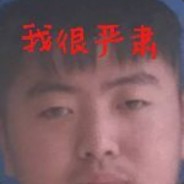 究极核武燕双鹰