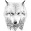 WolF-