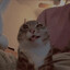 ˘