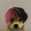 pink hair dog