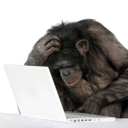 Chimp Taught Computer