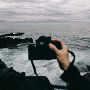 朦朧的珊瑚色矮子