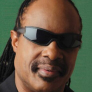 Stevie Wonder