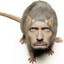 Dr. House if he was a rat