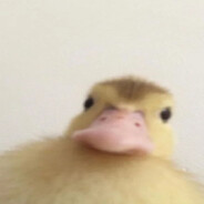 JIMBO