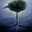 Gentoo Steam avatar