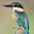 Mallron