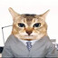 Lord Business Cat