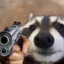 mr_raccoon