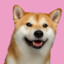 Simp_Doggo