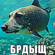 Имя (обязательно) ᅠᅠᅠᅠᅠᅠᅠᅠᅠᅠᅠᅠᅠᅠᅠᅠᅠᅠᅠᅠᅠᅠᅠᅠᅠ avatar