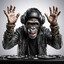 DJ APEIST