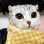 格里菲斯