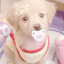 paci