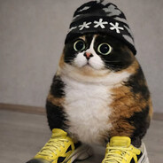 ✵куки рафов ✵