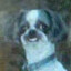 Jairo