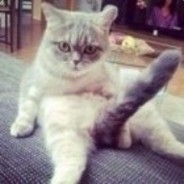 ♛                      50cent