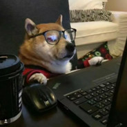 蜡笔爱喝气泡水