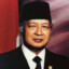 The Almighty Muly