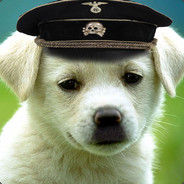 Nazional-Socialist Pupper