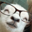Snufkin
