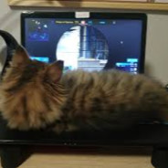 Player avatar