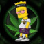 Stoner Simpson