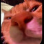 bingus
