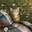 Noxployd Steam avatar