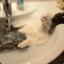 Bathballbunny