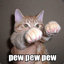 Kitty Go Pew Pew Pew