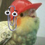 construction bird