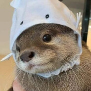 bao