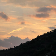 落魄谷中寒风吹