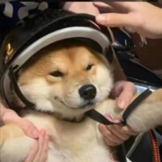 超级无敌牛牛小旋风