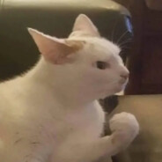 Степан avatar