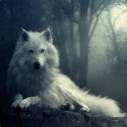 rookie09 - steam id 76561197970965346
