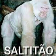 saltitao (amigo da bondade )