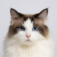 汪汪队第三警务督察队